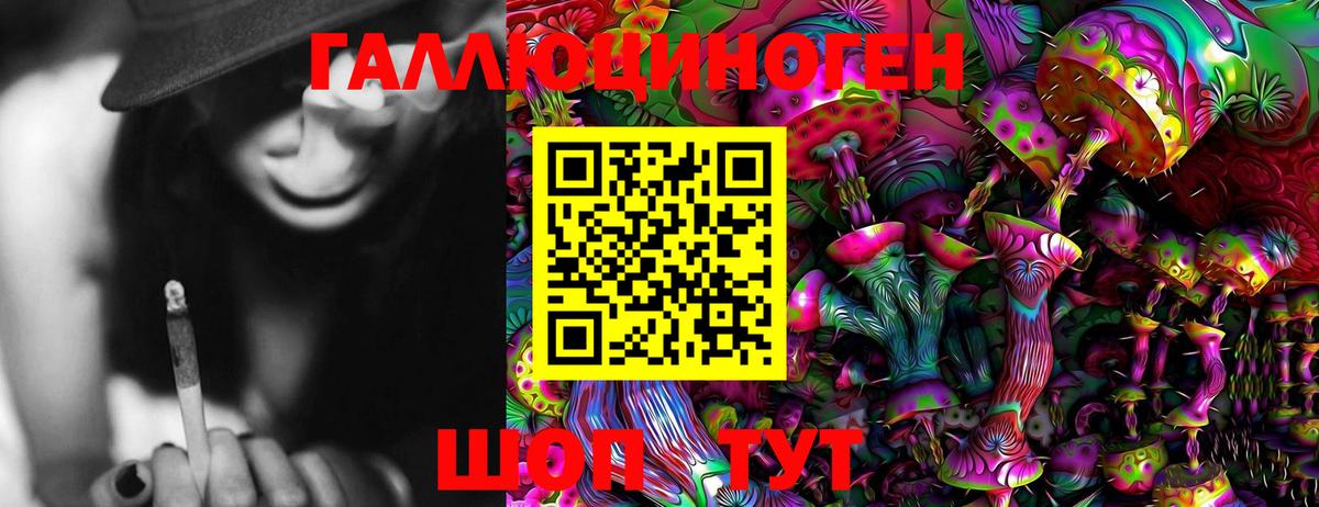 Псилоцибиновые грибы Magic Shrooms  Вход с VPN  Черкесск 